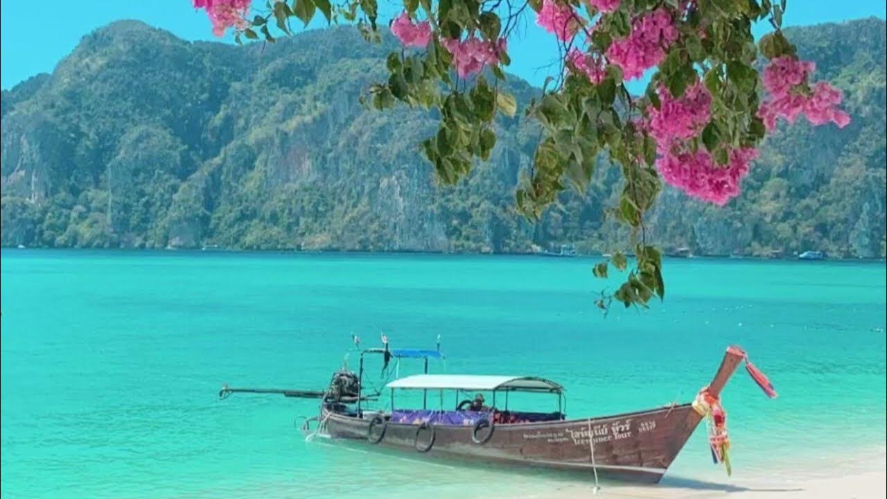 Simsons порно мультфильмдерін онлайн көру