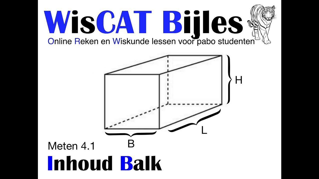 Inhoud Balk - WisCAT Werkboek: Meten 4.1