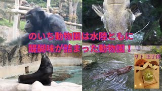 のいち動物園(その他動物たちまとめ)水辺の生き物、チンパンジー#のいち動物園 #動物園 #zoo #チンパンジー#アシカ#ビーバー