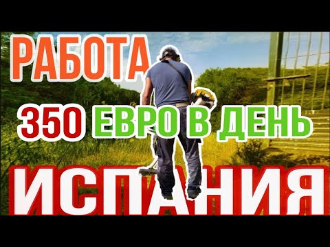 Видео: Как да си намеря работа в Испания