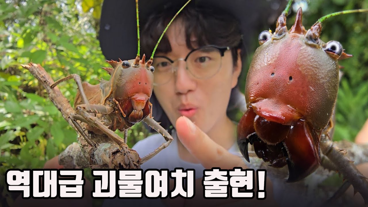 물리면 끝장입니다 ㄷㄷ 지구상 최고의 살아있는 괴물여치를 만났습니다.
