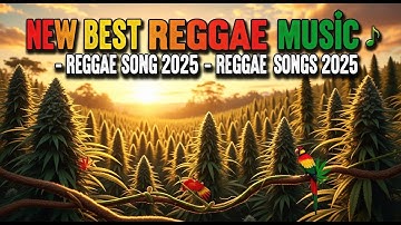 NEW BEST REGGAE MUSIC 2025 - REGGAE SONG 2025 - REGGAE LOVE SONGS 2025