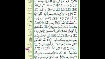364 سورة الفرقان ترتيل