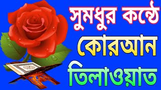 সুন্দর কন্ঠে কোরআন তিলাওয়াত MDAR MEDIA subscribe my YouTube channel