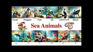 Sea Animals  All Sea Animals Name in English  Sea Animals Vocabulary + Self  Test