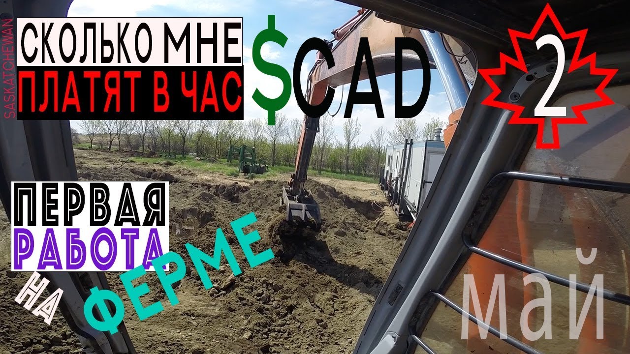 Сколько платят на ферме в канаде. Первая работа на ферме