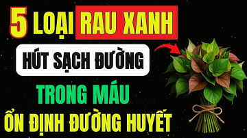 6 Loại RAU XANH “Hút” Sạch ĐƯỜNG Trong Máu, ĐƯỜNG HUYẾT Ổn Định, Giảm THUỐC Rõ Rệt!
