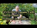 Dynamic Earth and Fossils Quiz