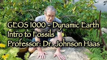 GEOS 1000 - Introduction to Fossils