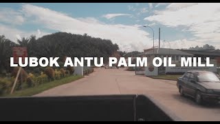 Lubok Antu Palm Oil Mill / Kilang Sawit Merindun, Lubok Antu - VLOG IBAN