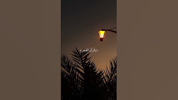 #تلاوات #تلاوة_خاشعة #تلاوة #قران_كريم #قران #الشيخ #القارئ  #علي_جابر #علي  #اللهم_صل_وسلم_على_محمد