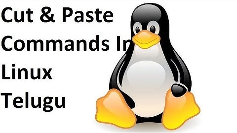 Cut And Paste Commands Working In Kali Linux And Linux In Telugu 2020