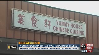 Dirty Dining: Yummy House Chinese Cuisine