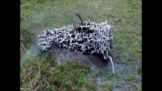 Anthill Art Gallery Cast Rinsing Part 1