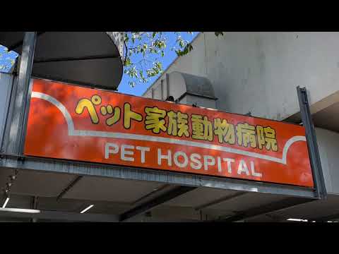 ドッグメディカル ペット家族動物病院 成城店