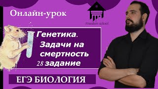 Задачи по генетике на смертность. 28 задание ЕГЭ. |ЕГЭ БИОЛОГИЯ|Freedom|