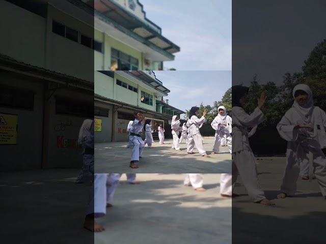 ekstrakurikuler Karate SDIP Tunas Bangsa Banjarnegara class=