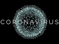 An Urgent Understanding of the CoronaVirus