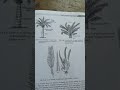 zoology important diagram BSc  vbspu class 12 NCERT nep #biology #science #lifeisbutadream #biology