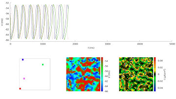 Network of Subthreshold Oscillating Neurons with g = 0.001 mS/cm^2