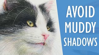 Amazing Realistic Shadows using Complimentary Colours | REAL TIME TUTORIAL