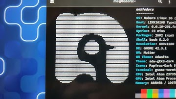 Installed Nobara Linux on a LINX 1010B tablet.