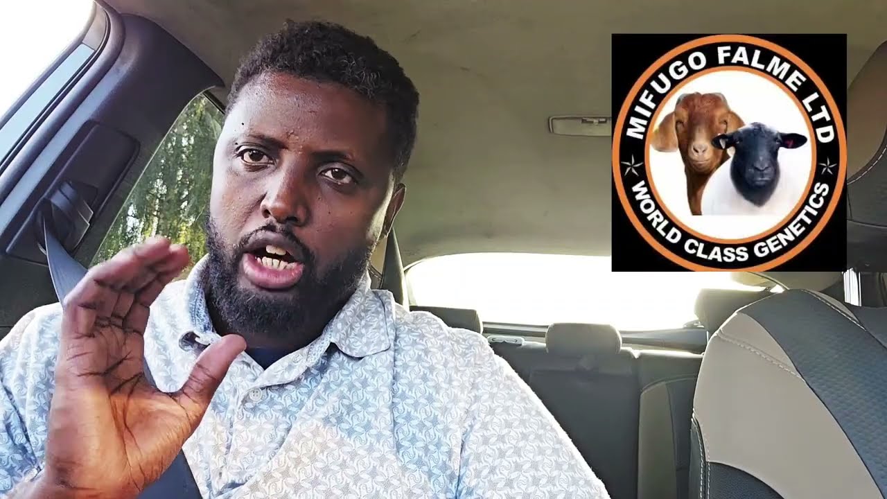 Qaybtii labaad ganacsi ay kenyankii ka taajireen somaliduna ka hurudo