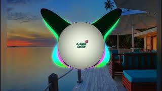 SHAKY SHAKY [REMIX]-DJ JACKALZ X DADDY YANKEE