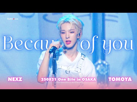 NEXZ TOMOYA」250821 Because of you 토모야 직캠 NEXZ LIVE