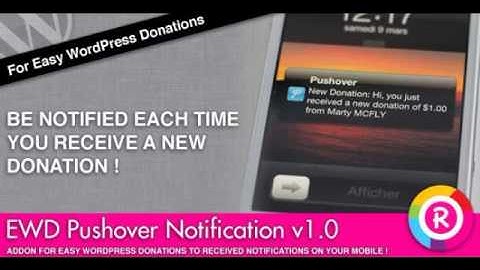 Preview Easy WordPress Donations Pushover Notification