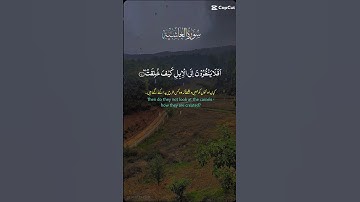 #سورة_الغاشية #القرآن_الكريم #القرآن #اكسبلور #explore