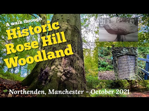 A walk in Historic Rose Hill Woodland in Northenden, October 2021 #rosehill #Nature #Manchester