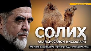 5) СОЛИҲ АЛАЙҲИССАЛОМ ҚИССАЛАРИ - ШАЙХ МУҲАММАД СОДИҚ МУҲАММАД ЮСУФ РОҲИМАҲУЛЛОҲ