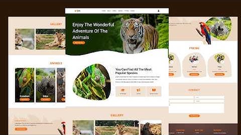 Responsive Zoo Website Design Using Html CSS and JavaScript | Day 3 |  #CodingSchool12