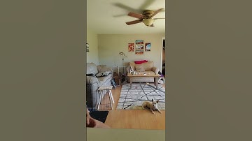 Faulty stimulus control