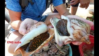 Weird Melo sea snail and scallops Vietnam recipe!