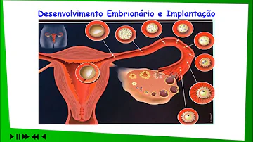 Qual é o significado de gametas?