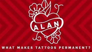 What Makes Tattoos Permanent? | Brit Lab What Makes Tattoos Permanent? | Brit Lab