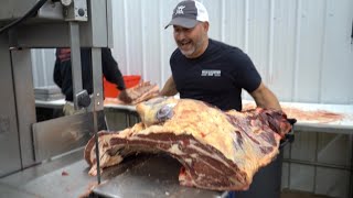 Beef Butchering Process (START to FINISH)