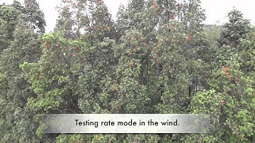 20120414 Testing Open Pilot CC3D