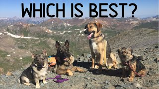 Hiking, Backpacking, and ThruHiking: Small Dogs vs. Big Dogs Pros and Cons