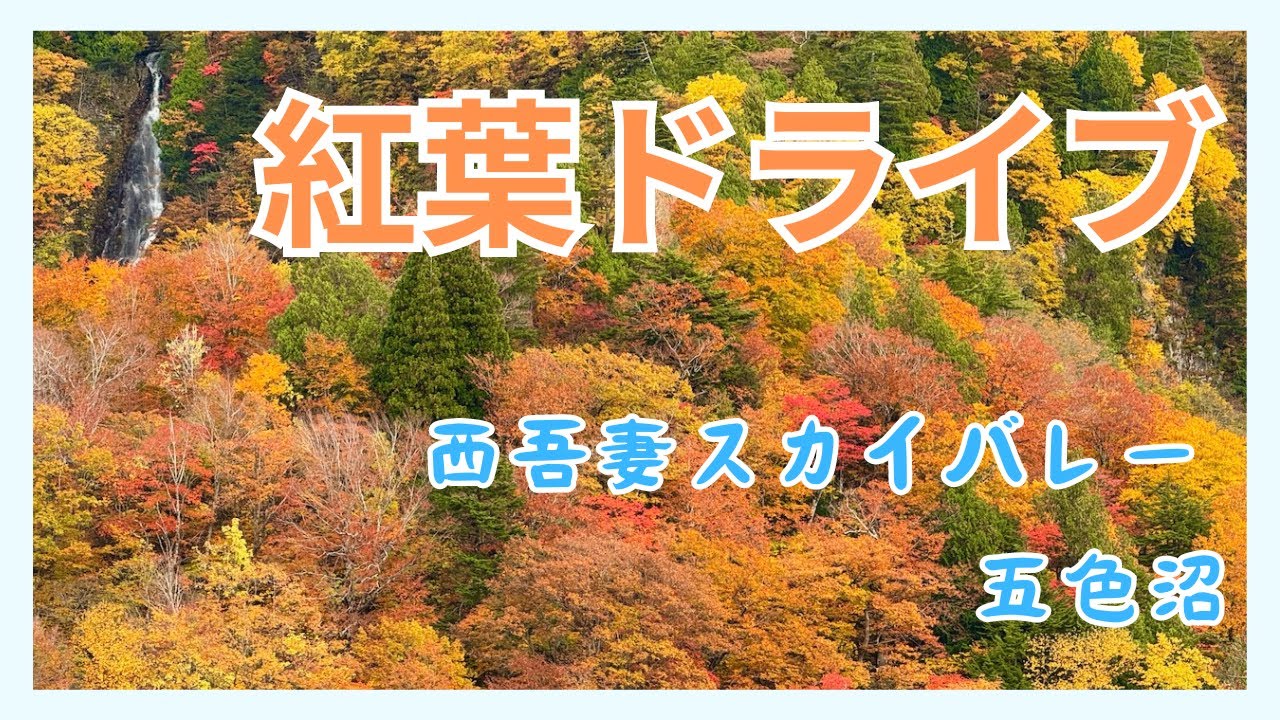 [10月山形福島紅葉ドライブ]西吾妻スカイバレー〜裏磐梯・五色沼へ〜車で巡る東北の紅葉絶景ドライブと秋の五色沼散策🍁Vlog〜遠刈田から裏磐梯までの秋のドライブ