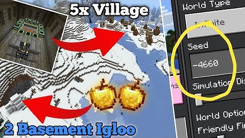 Minecraft Huge Village And Basement Igloo Seed