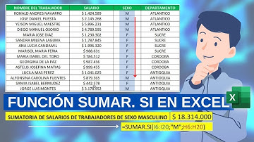 FUNCION SUMAR.SI EN EXCEL