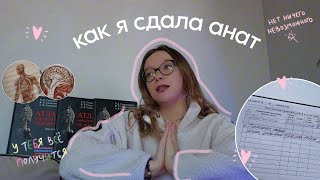 сложная сессия в меде // сдала экзамен по анатомии // советы и источники