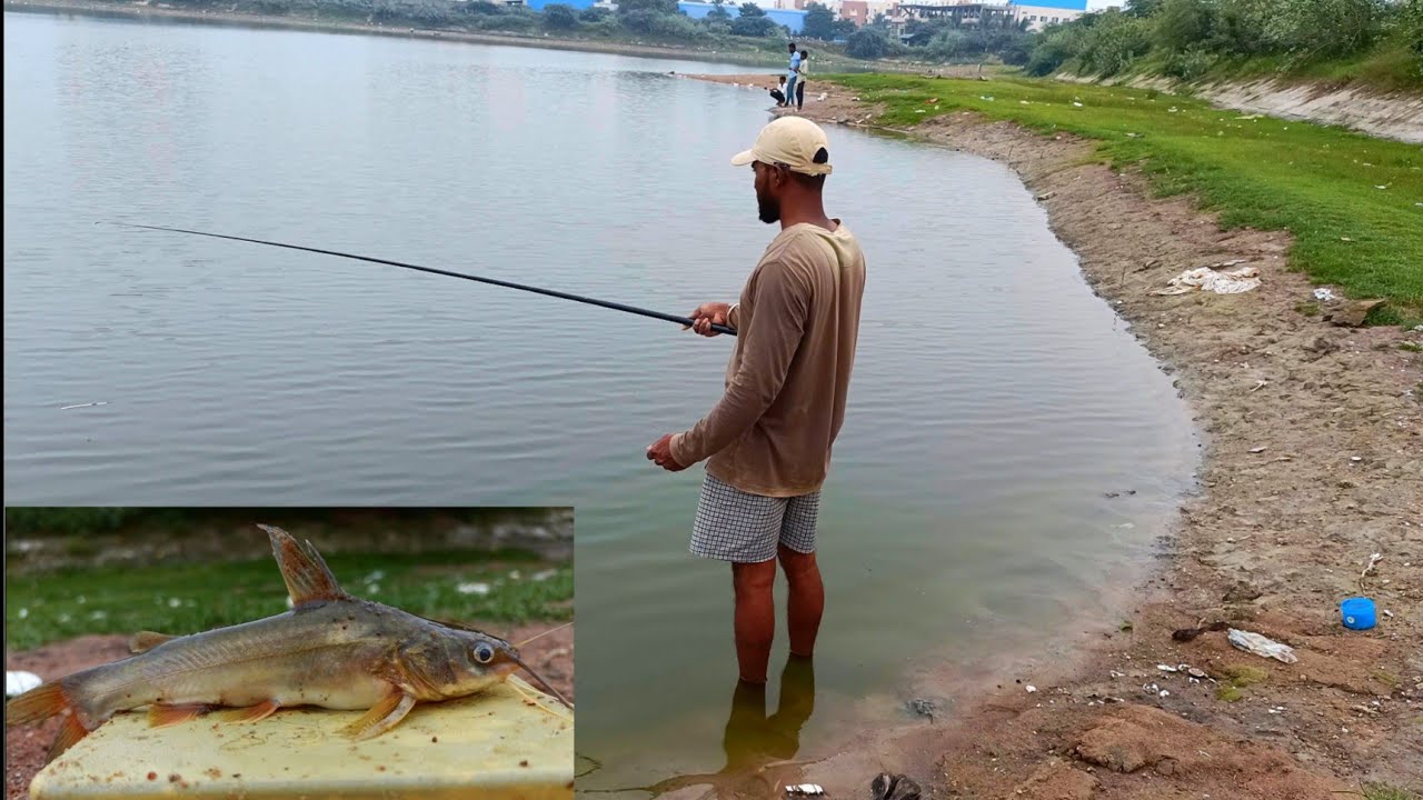 POLE Rod தூண்டிலில் மீன் வேட்டை Fishing video - Fishing