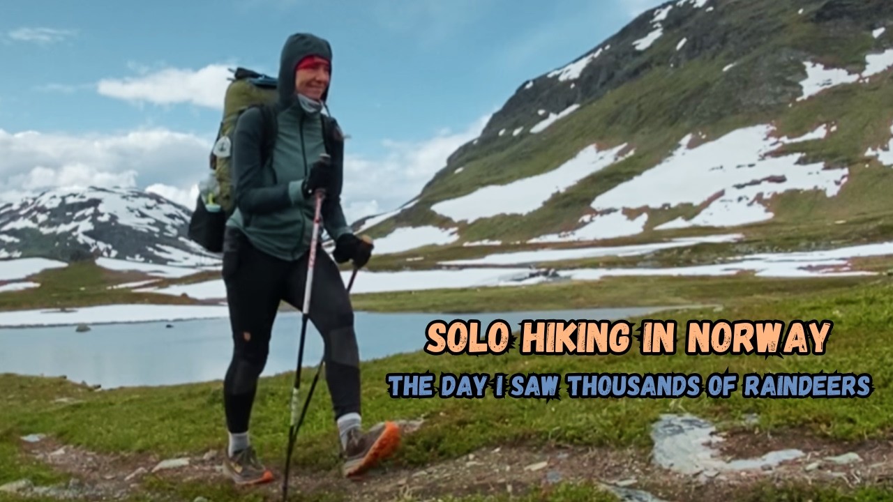 День 6, день с зеленой полосой. Самое большое количество оленей, которое я когда-либо видел.