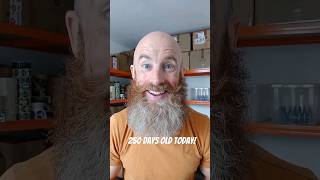 What a 250 DAY OLD BEARD looks like beardcare beardtips yeard beardroutine