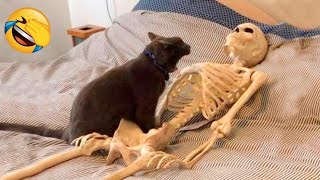 Funniest Animals 😄 New Funny Cats and Dogs Videos 😹🐶 by Pet Hub 2,321 views 4 weeks ago 11 minutes, 30 seconds