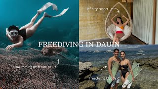 freediving in Apo Island, Dauin Marine Sanctuary| Angel Dei